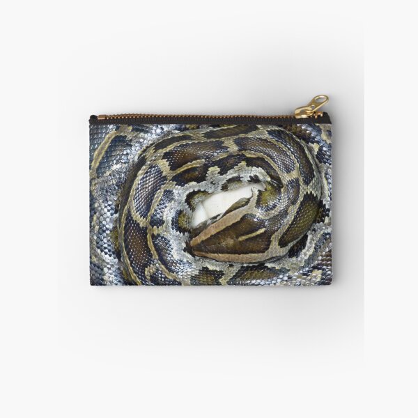 Item preview, Burmese Python guarding her eggs designed and sold by Bluelizzy.