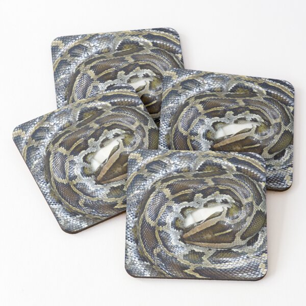 Item preview, Burmese Python guarding her eggs designed and sold by Bluelizzy.
