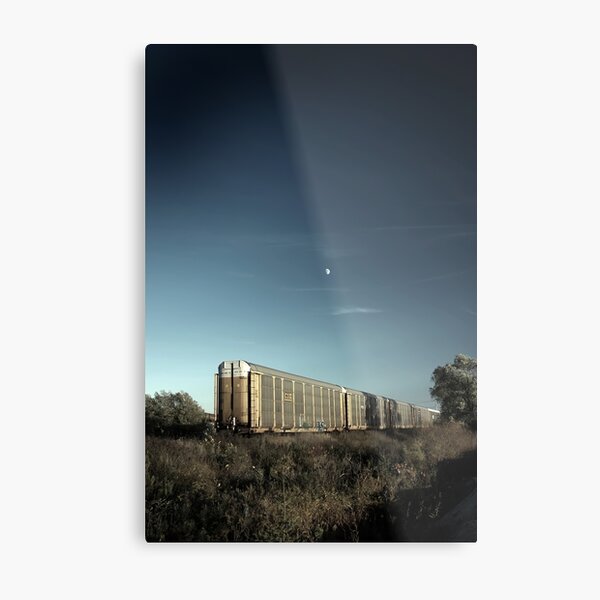Night train Metal Print