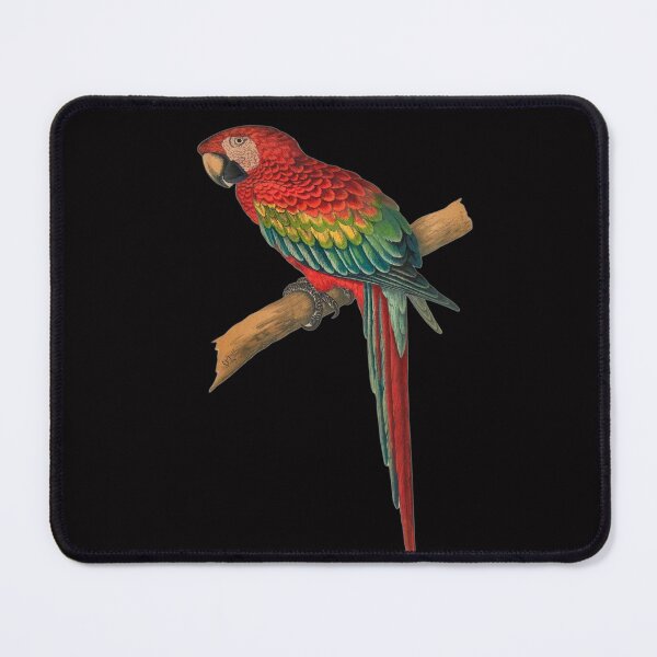 Item preview, Design Ara Parrot Parrots Are Beatiful designed and sold by netdota.