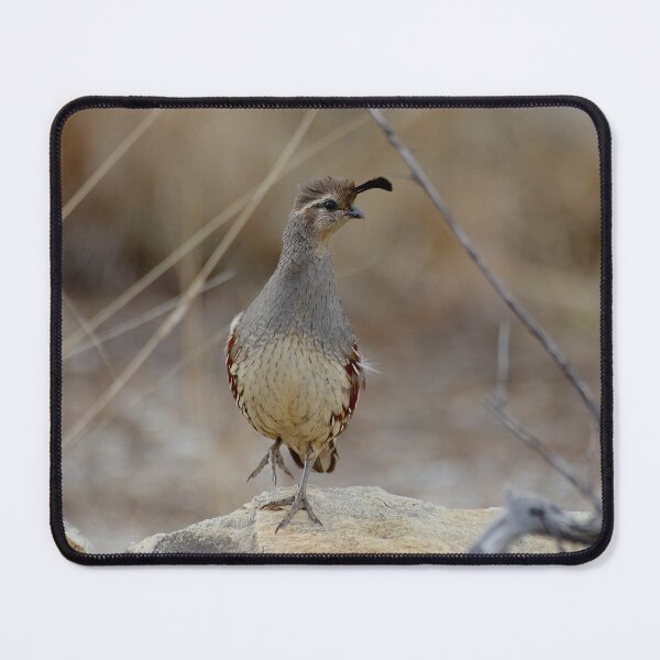 Item preview, Mama Gamble's Qual designed and sold by Vicki Pelham.