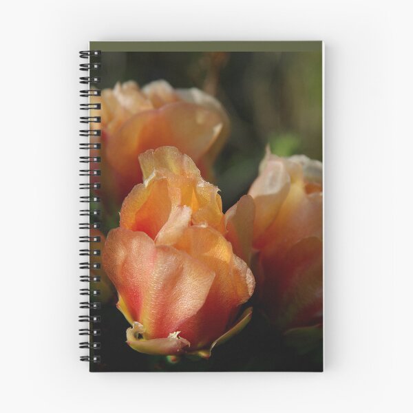 Item preview, Just Peachy designed and sold by Vicki Pelham.