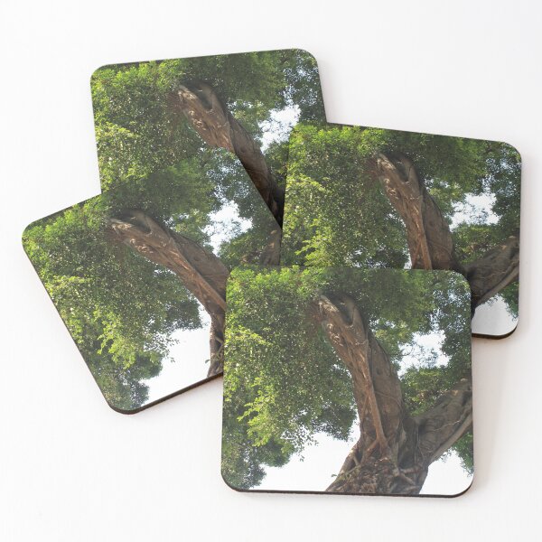 Item preview, Temple of the Six Banyan Trees - Trees designed and sold by Thomas Halouva.
