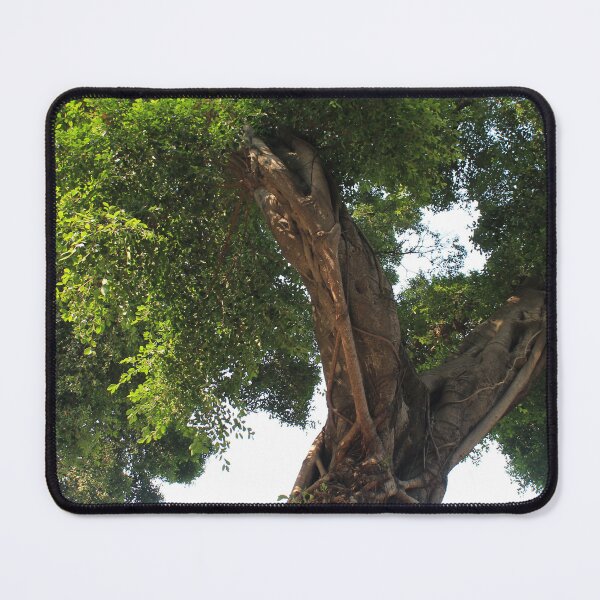 Item preview, Temple of the Six Banyan Trees - Trees designed and sold by Thomas Halouva.