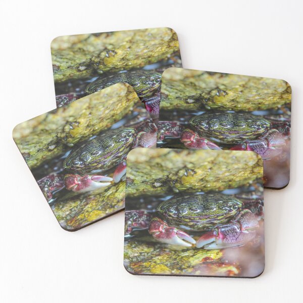 Item preview, Crab in a Nook designed and sold by WetDogGallery.