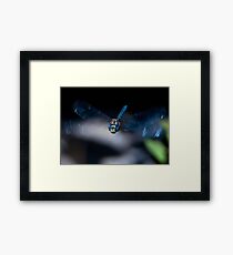 Blue Dreams Framed Print