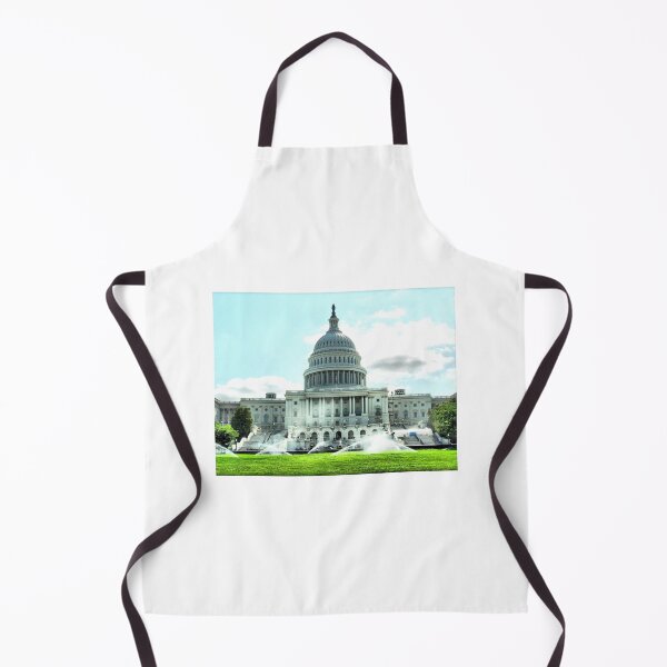 Item preview, Washington Captiol designed and sold by SkatingGirl.
