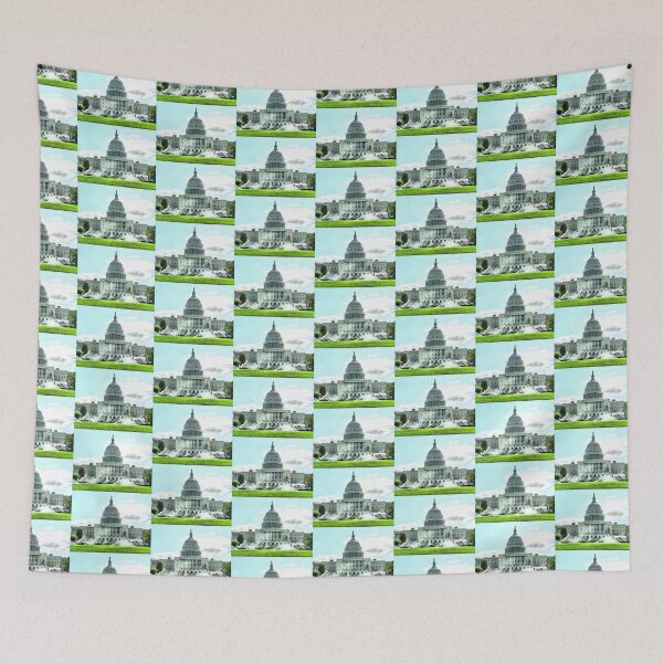 Item preview, Washington Captiol designed and sold by SkatingGirl.
