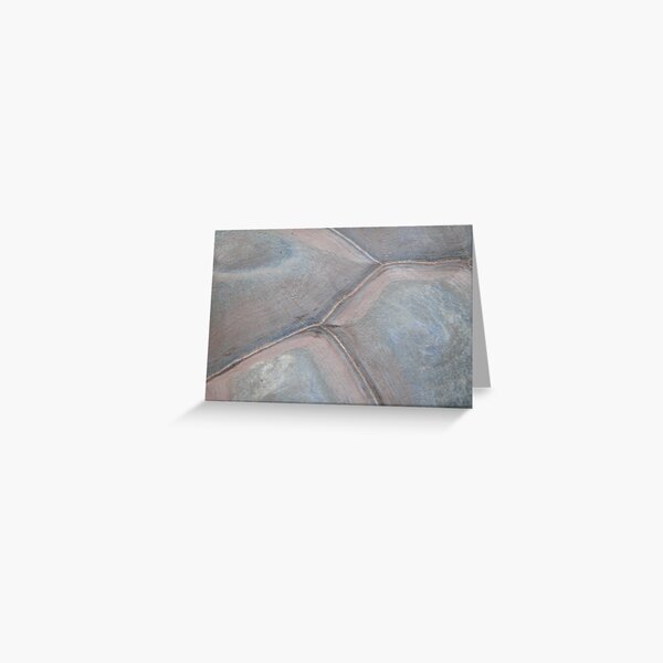Tortoise shell Greeting Card