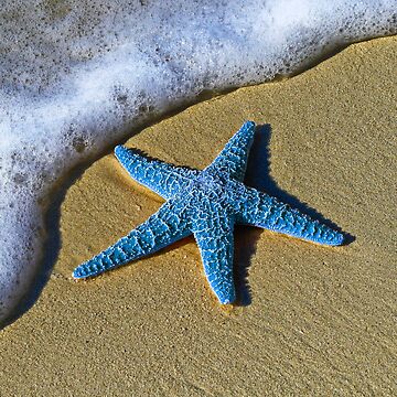 Blue Starfish Poster - Beach starfish print