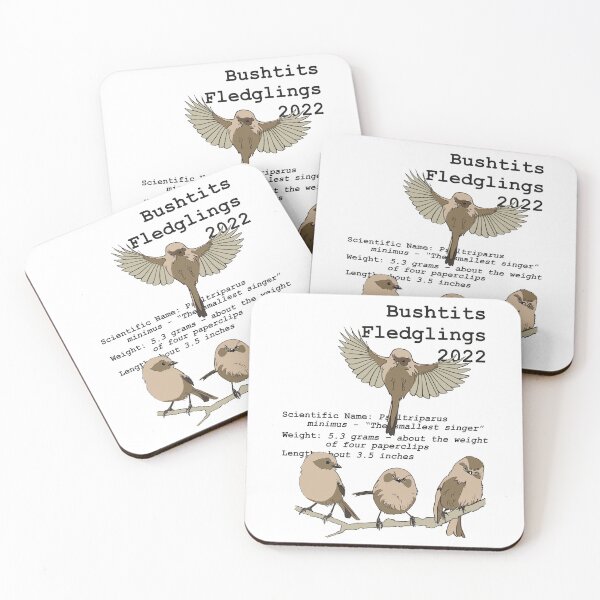 Item preview, Red Tail Paragliding Bushtits Fledglings 2022 designed and sold by Brian  Doub.