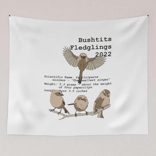 Item preview, Red Tail Paragliding Bushtits Fledglings 2022 designed and sold by Brian  Doub.