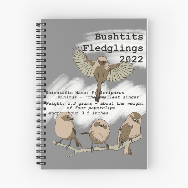 Item preview, Red Tail Paragliding Bushtits Fledglings 2022 designed and sold by Brian  Doub.