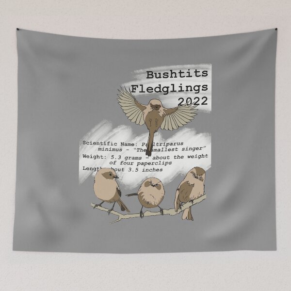 Item preview, Red Tail Paragliding Bushtits Fledglings 2022 designed and sold by Brian  Doub.