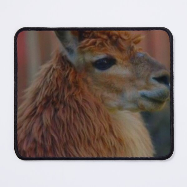 Item preview, Beautiful Alpaca designed and sold by MooriNjogu.