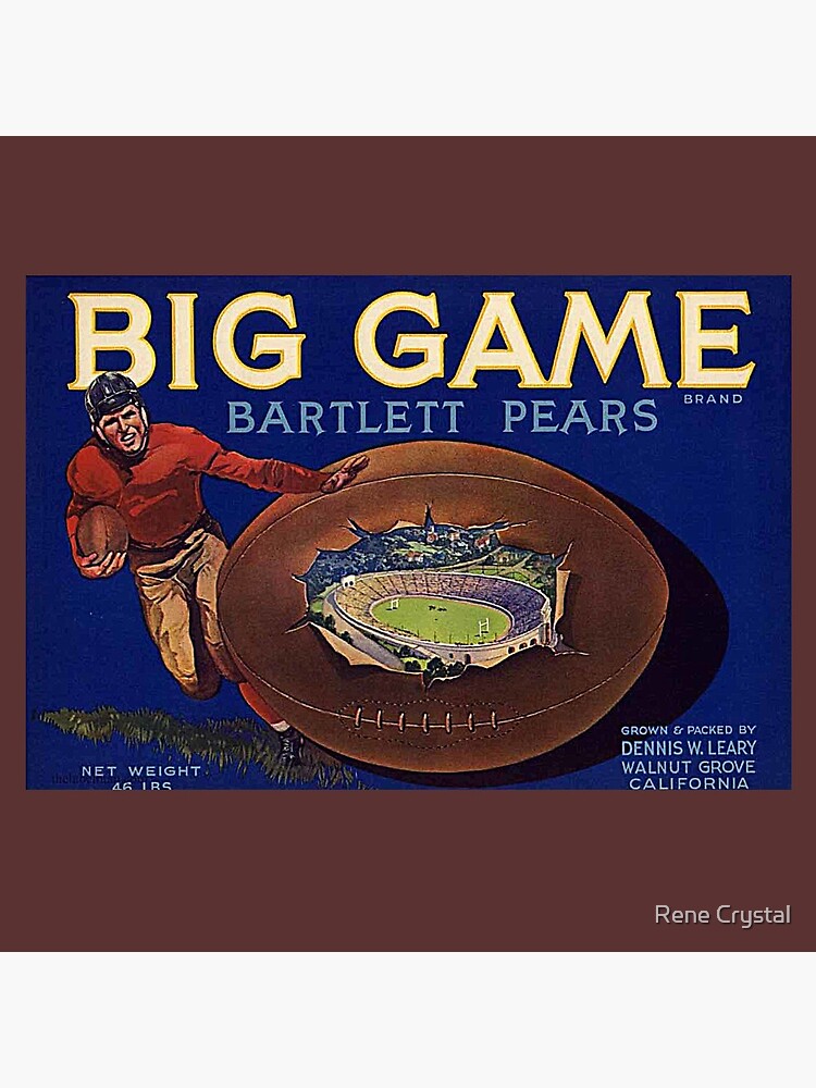1930s Football Game Cal-Stanford by imagesbycrystal