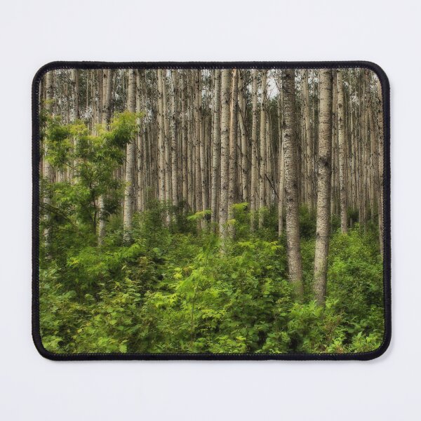 Item preview, In the Bush 2 designed and sold by timdaytimages.
