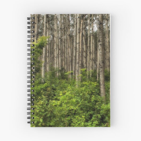 Item preview, In the Bush 2 designed and sold by timdaytimages.