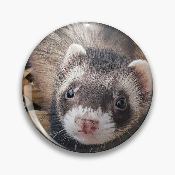 Item preview, Grizz designed and sold by Vern Treat.