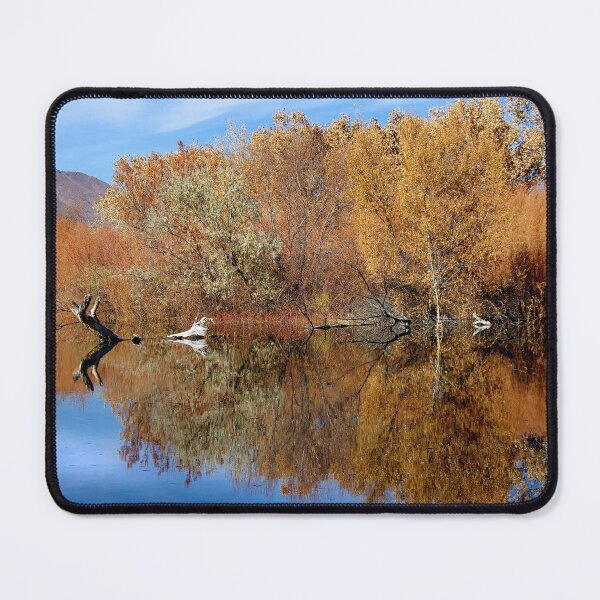 Item preview, Reflective Moments designed and sold by Vicki Pelham.