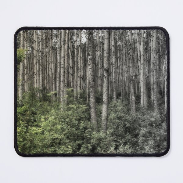 Item preview, In the Bush 3 designed and sold by timdaytimages.