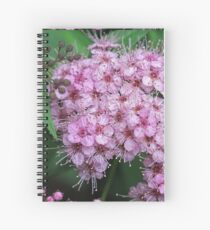 Pink Blossoms Spiral Notebook