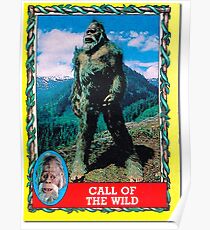 Call of the Wild - Harry and the Hendersons Poster