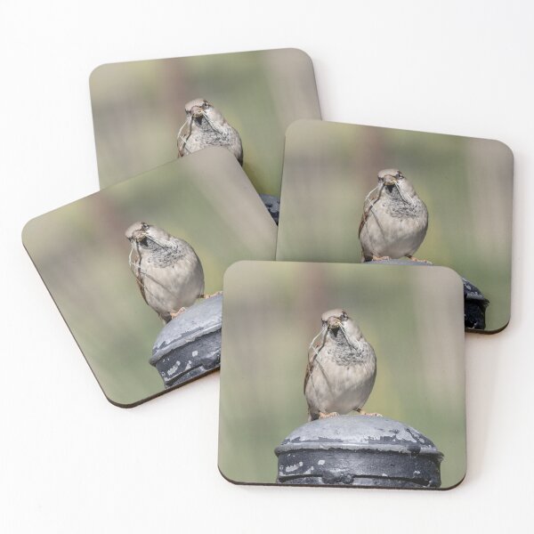 Item preview, House Sparrow designed and sold by SuzyGoesBirding.