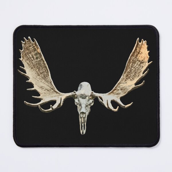 Item preview, Moose skull designed and sold by Saltypro.