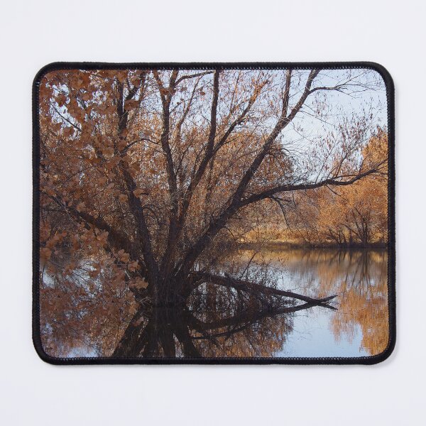 Item preview, Looking Glass designed and sold by Vicki Pelham.