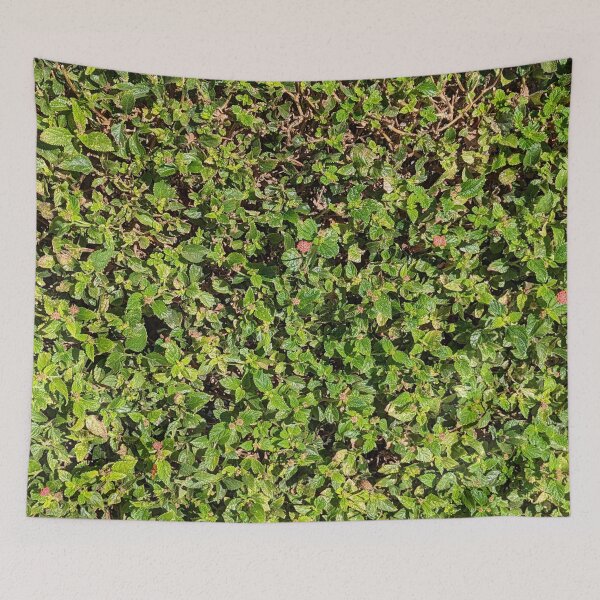Item preview, Burbank Flowering Plants Lantana Camara Common Lantana designed and sold by SanArtcisco.