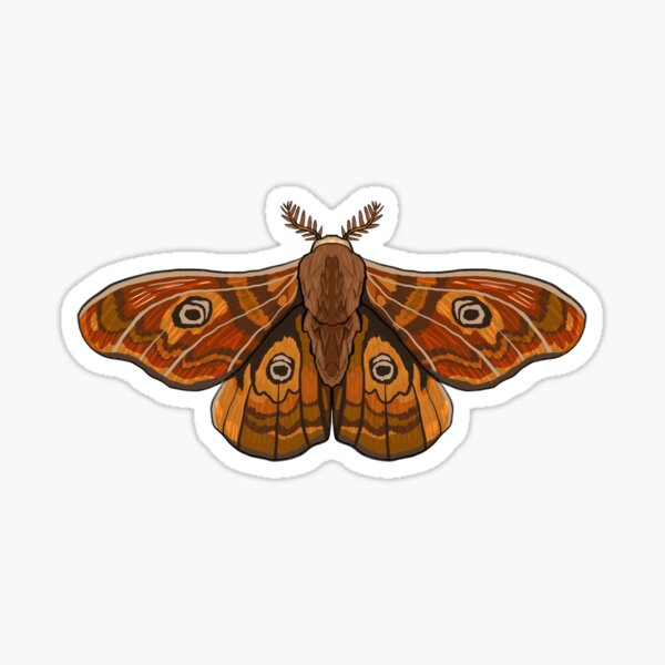 Autumn Moth Sticker – Santa Barbara Company