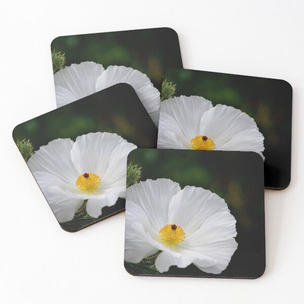 Item preview, Waiting for You - Mexican Prickly Poppy designed and sold by Vicki Pelham.