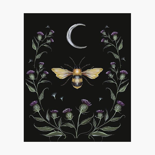 Item preview, cardo y abejas designed and sold by mlcreates64.