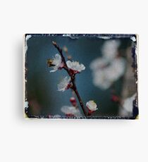 let me bee Canvas Print