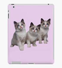 Kittens iPad Case/Skin