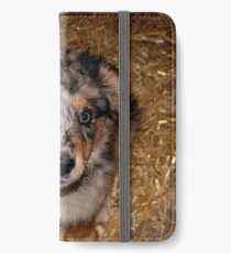 One more treat please!!! iPhone Wallet/Case/Skin