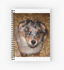 One more treat please!!! Spiral Notebook