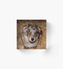 One more treat please!!! Acrylic Block