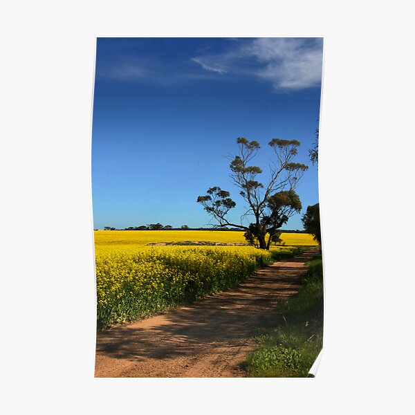 A Yellow Road Poster