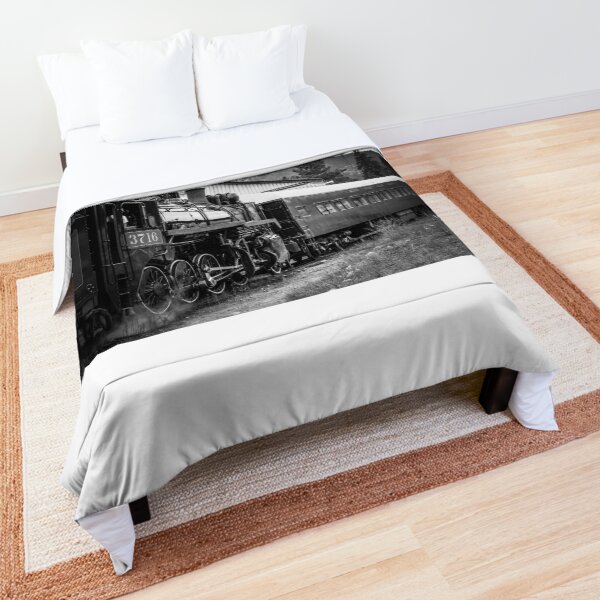 Antique Train Comforter