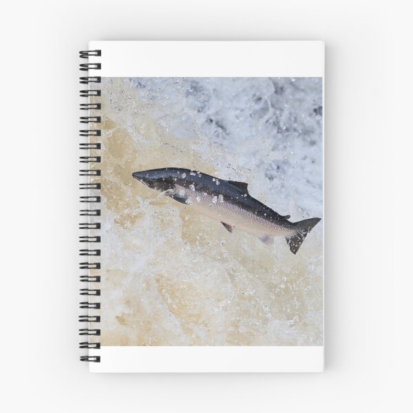 Item preview, Leaping salmon designed and sold by chanonry.