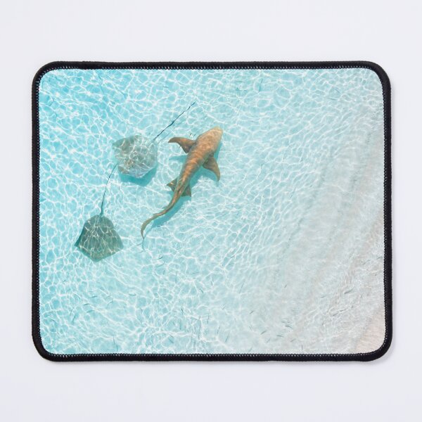 Item preview, Nurse Shark near the shore Maldives designed and sold by Mushan1996.