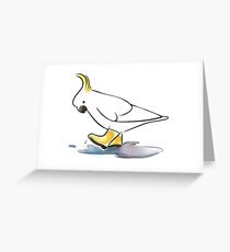Cockatoo Rain Shoes Greeting Card