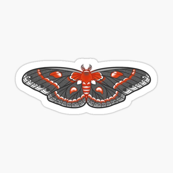 “Cecropia Moth " Sticker for Sale by AnxiousAndTired | Redbubble