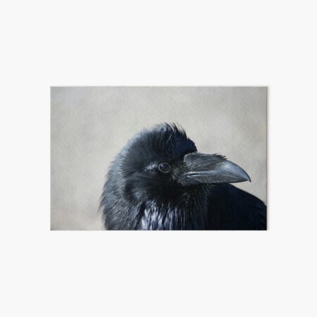 Raven Art Board Print