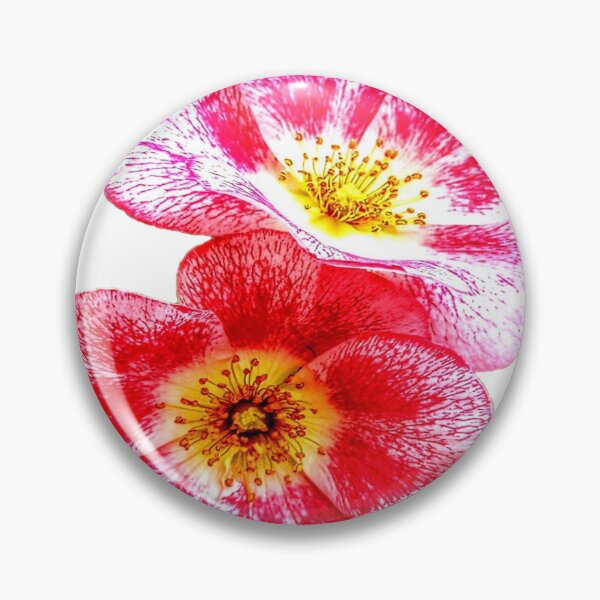 Item preview, rosa selvatica designed and sold by Infinito2008.