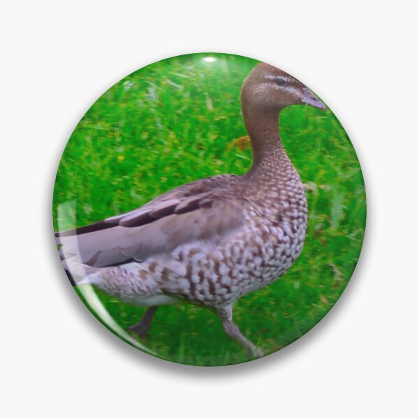 Item preview, The Duck Walk! designed and sold by Mickangelhere.
