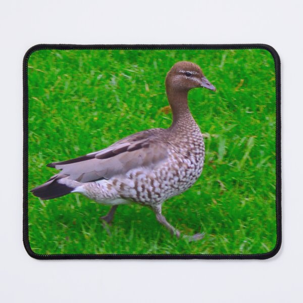Item preview, The Duck Walk! designed and sold by Mickangelhere.
