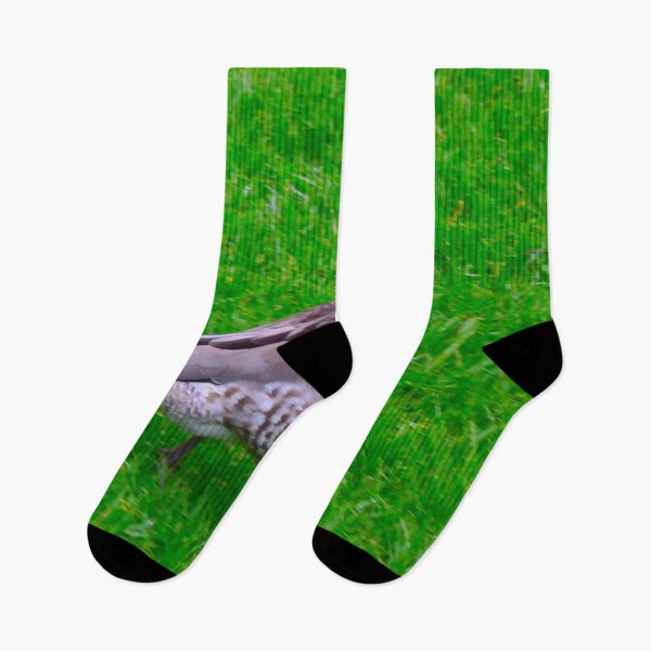 Item preview, The Duck Walk! designed and sold by Mickangelhere.